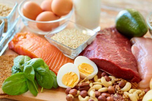Nutrition Blog Proteins