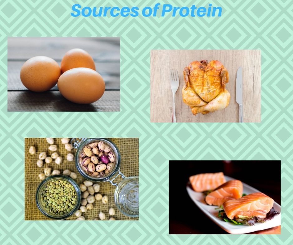 sources of protein